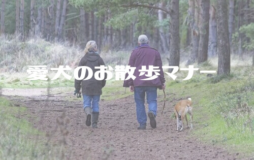 犬と老夫婦の後姿の写真