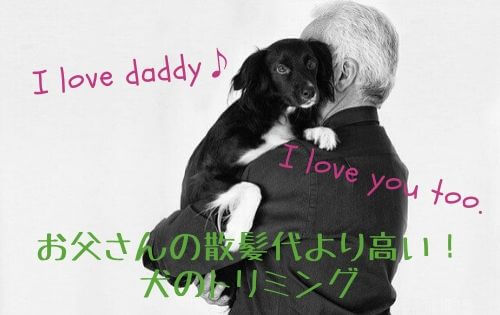 紳士が黒い犬を抱いている写真